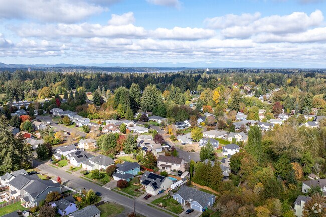 Aerial view of Cain Road, showcasing a blend of lush greenery and vibrant community life below.