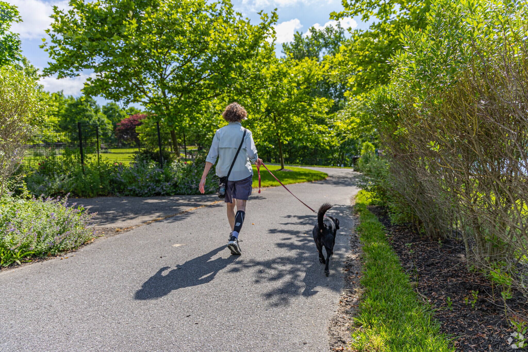 Take your dog on a quiet walk around the scenic Blue Stone Park.