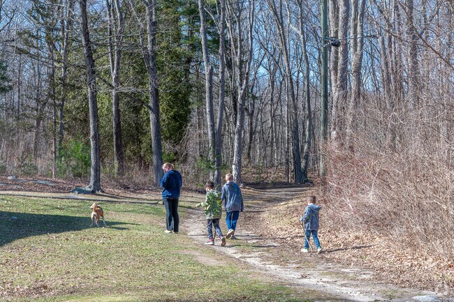 Locals can explore several trails at Roosevelt Forest in Stratford.