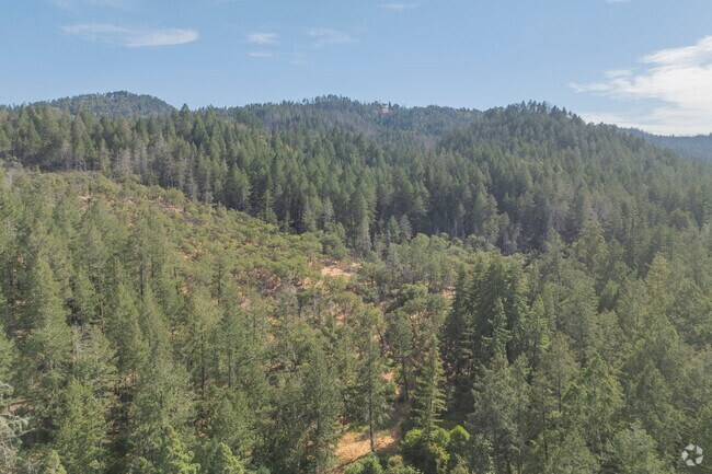 Deer Park residents willing to risk the potential hazards can live in serenity in beautiful Californian forest.