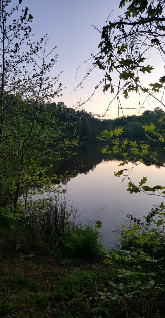 4422 Beechnut Ln, Durham, NC 27707 - photo 3