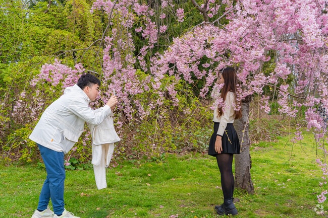Bring your loved one to Branch Brook Park when the Cherry Blossoms Bloom for timeless pictures.