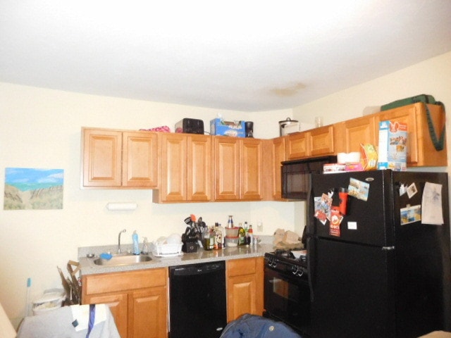 73 Empire St unit 2, Allston, MA 02134 - photo 4