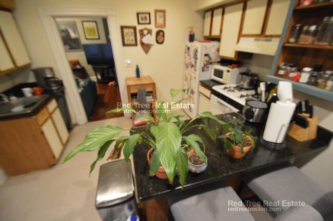 21 Pratt St unit 1, Allston, MA 02134 - photo 3