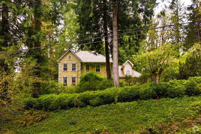 A lone yellow colonial style home sits amongst the trees of the Marshall Park neighborhood.