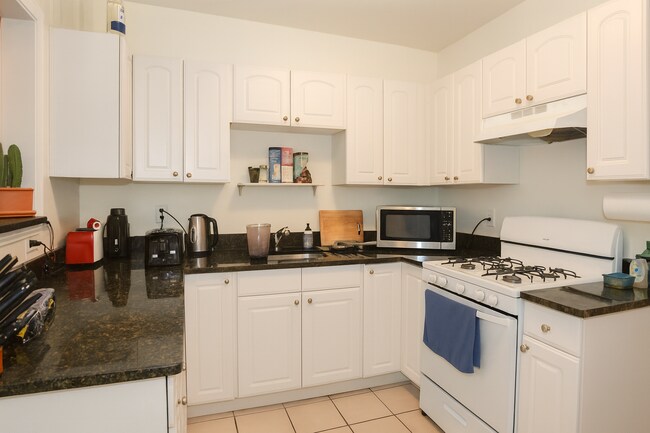 56 Egmont St unit 1, Brookline, MA 02446 - photo 4