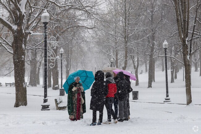 Take a guided tour and soak in all that the Boston Common has to offer.