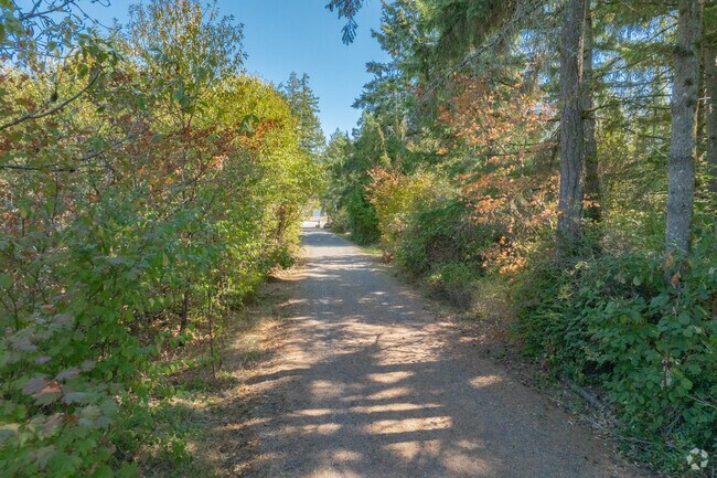 Go for a walk through the trails at Black Lake Meadows Reserve.