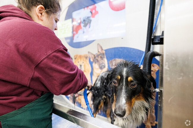 Clarks ACE Hardware near Long Reach has a self service dog wash station.