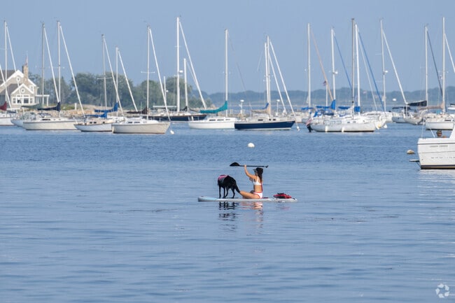 The idyllic fun of paddleboarding with the dog next to Mumford Cove is a great adventure.