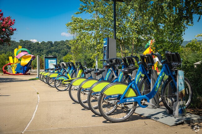 You can rent a bike at the top of the Westside's Blue Goose Hollow trailhead.