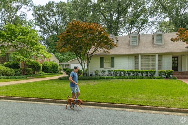 The wide paved roads in Kirby Woods are ideal for walks with Fido.