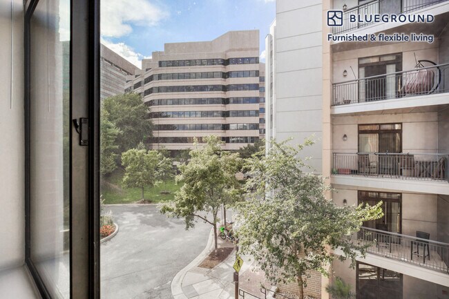 305 10th St S unit FL3-ID581, Arlington, VA 22202 - photo 4