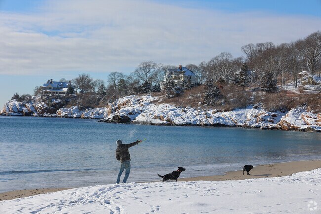 Everyone dog loves the morning at Gray Beach.