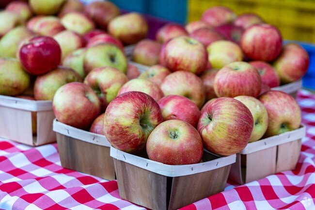Lincoln Square's Apple Fest showcases the best Apples from around the Midwest.