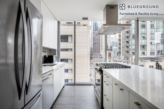 8 E Huron St unit FL8-ID838, Chicago, IL 60611 - photo 7