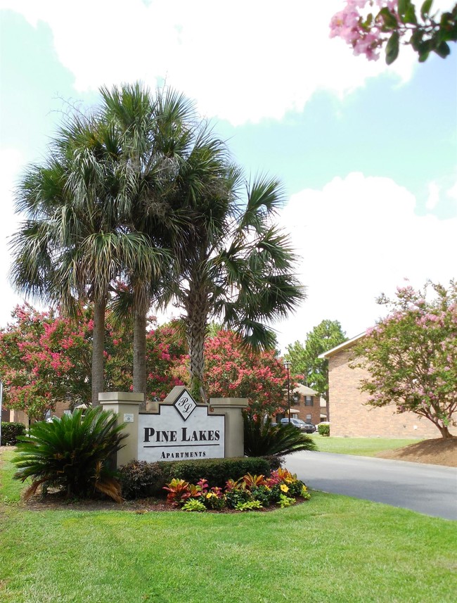 110-120 S Cranford Rd, Goose Creek, SC 29445