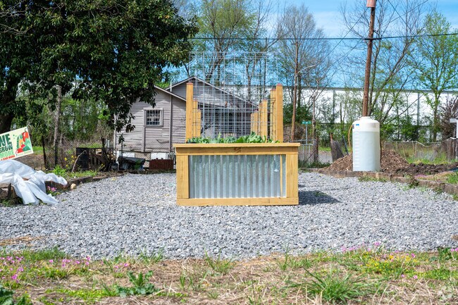 Find fresh vegetables in the community garden of Hooper City.
