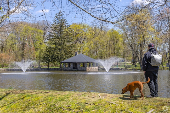 Residents enjoy the serene Tilley Pond Park in Darien.