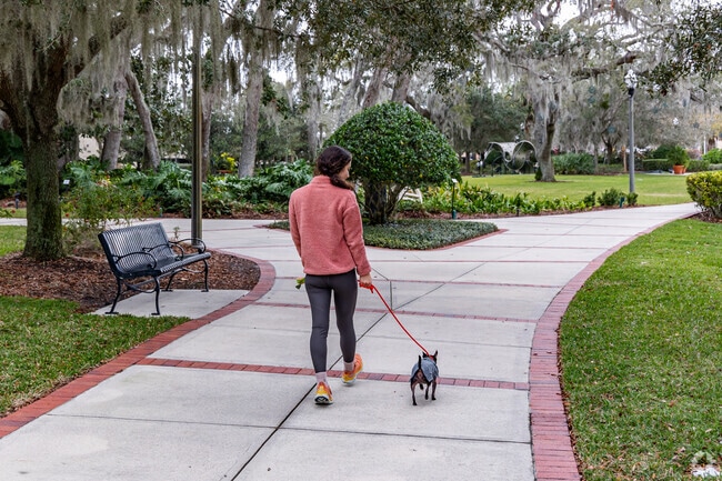 Residents love to walk their dog in Casselberry.