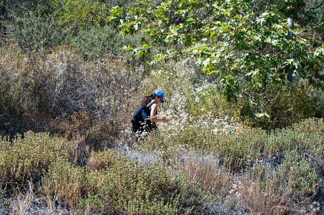 Residents enjoy hiking at Deukmejian Wilderness Park.
