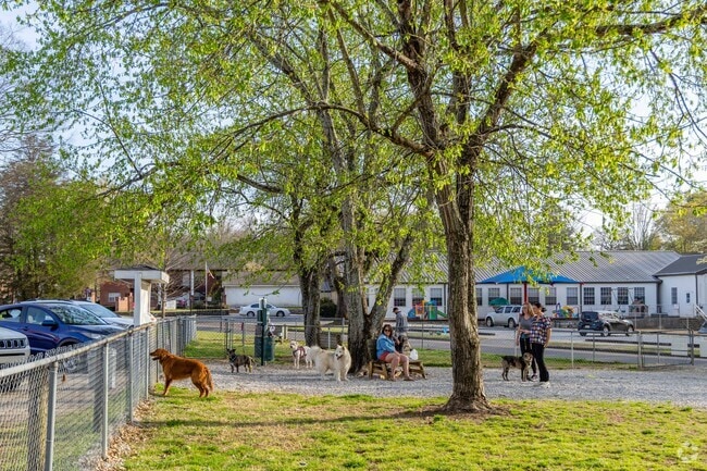 Dog friends can play and hang out at the North Woof Community Dog Park.