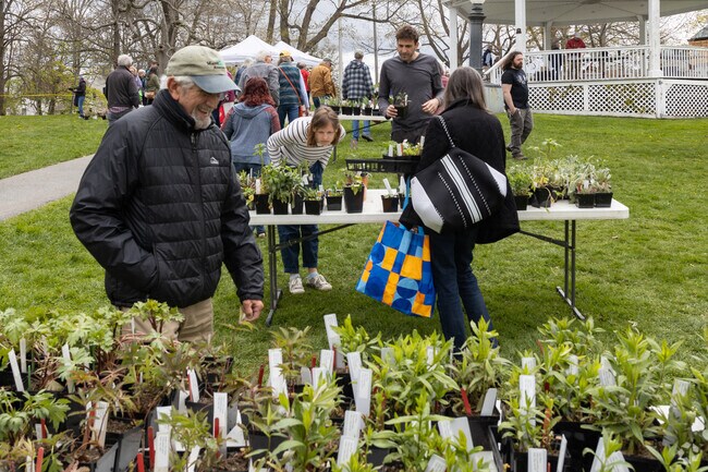Locals buy their plants to launch off the gardening season at the Bath Garden Club plant sale.