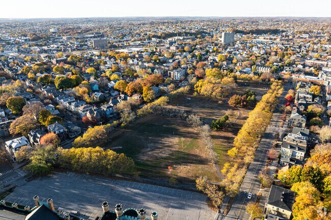 Dexter Training Grounds in West End is a well loved park with plenty of space to roam.