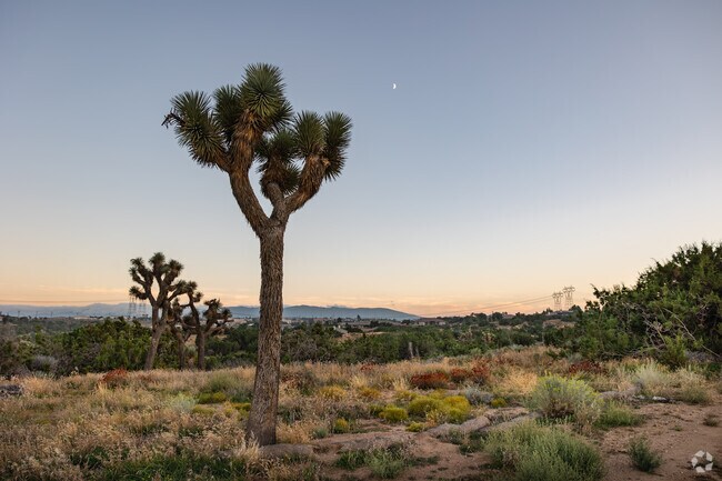 Lucky Star Ranchos provides a unique high desert living experience with a connection to nature and a relaxed atmosphere.