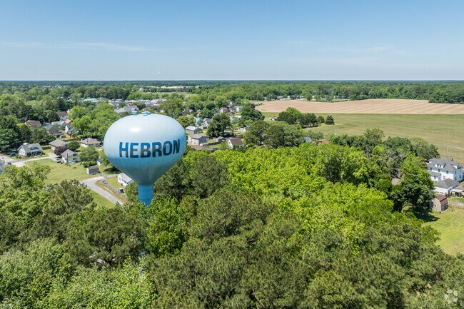 A water tower peeks above the trees to let visitors and passersby know they are in Hebron.