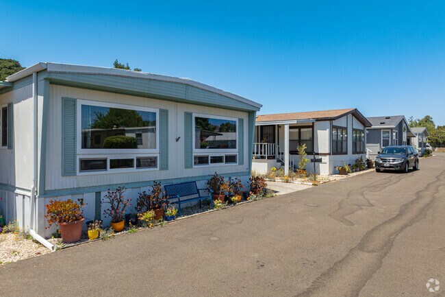 The residents of Laguna Lake Mobile Estates in Billygoat Acres decorate with beautiful flowers.