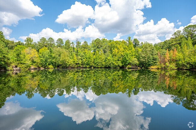 Hidden lakes are waiting to be found at parks like Euchee Park near Grovetown.