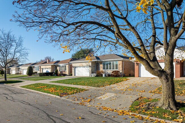 Mature tree's line the charming streets of Nile's The Terrace neighborhood.