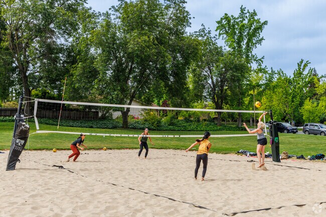 Larkey Park’s volleyball court brings neighbors together for fun in the summer sun.