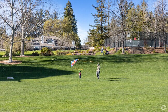 Sky-high fun Father and son fly a kite at Arbolado Park, Northgate.