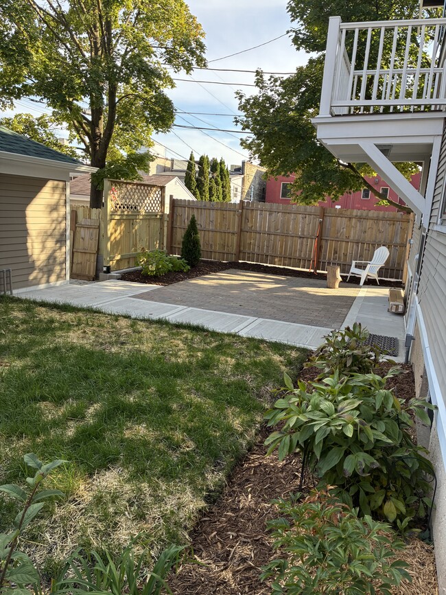 Backyard with new grass growing!