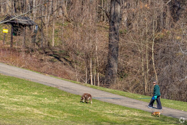 There are many trails through the Stockton State Forest and multiple State Parks in the area.