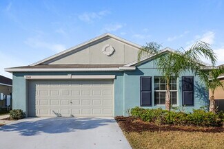 15509 Caynor Ash Ln, Ruskin, FL 33573