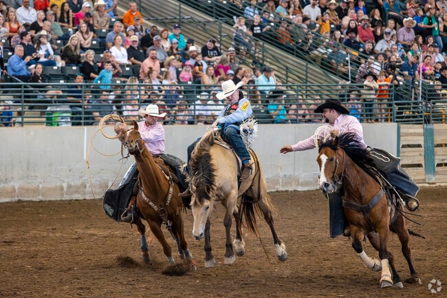 Bareback riding is popular along those attending the Montgomery County Fair in Conroe.