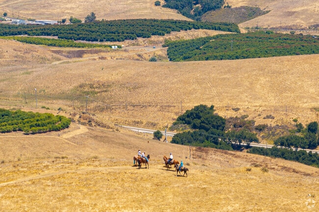 Horse riders enjoy the trails from Highland to Bishop Peak.