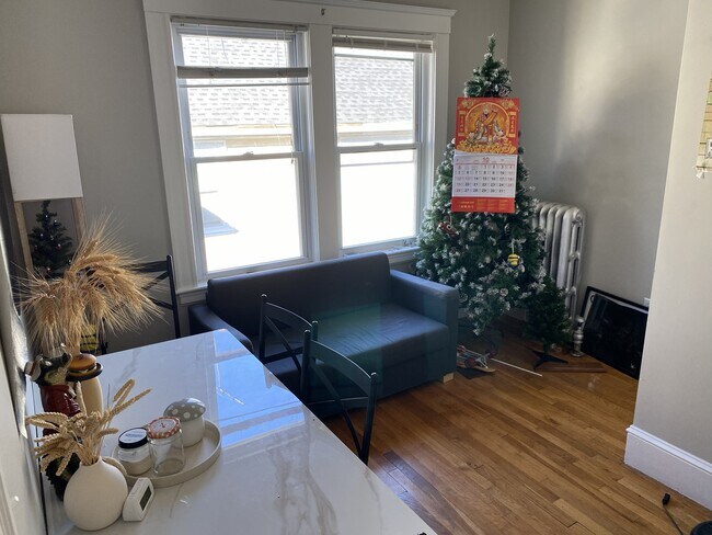 173 Hillside St unit 2, Roxbury Crossing, MA 02120 - photo 7