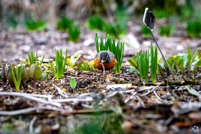 The Arboretum is a 100-acre park that sees 200,000 visitors each year.