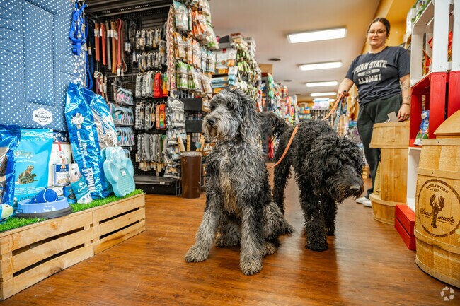 There are several local shops around English Meadows like Hollywood Feed.
