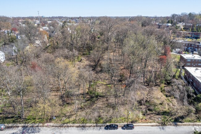 Located in Pen Lucy Springfield Woods is comprised of 3.5 acres of protected forest.