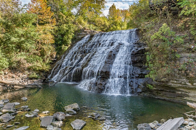 The tallest in Cuyahoga County, Mill Creek Falls is Slavic Village's best-kept hidden gem.