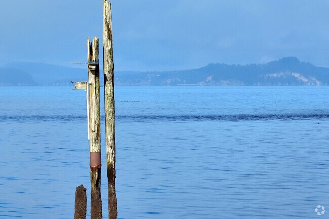 Camano's surrounded by amazing views of Puget Sound.