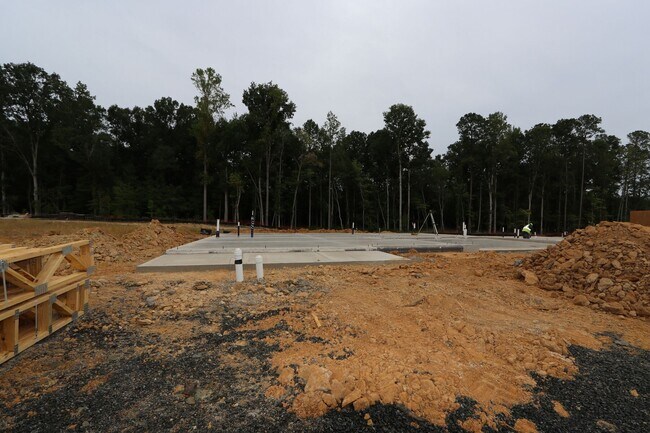 8001 Mint Whisper Way, Apex, NC 27523 - photo 5