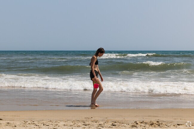 Frisco Beach the best place to find beautiful sea shells from the ocean on the Outer Banks.
