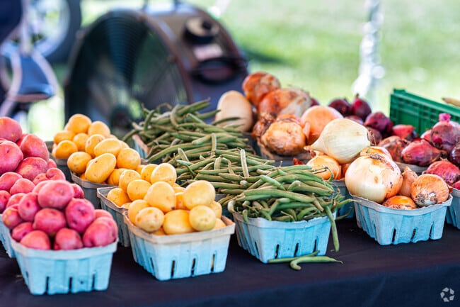 Hall’s Farm Fresh Produce operates a summer roadside stand in Ripley.