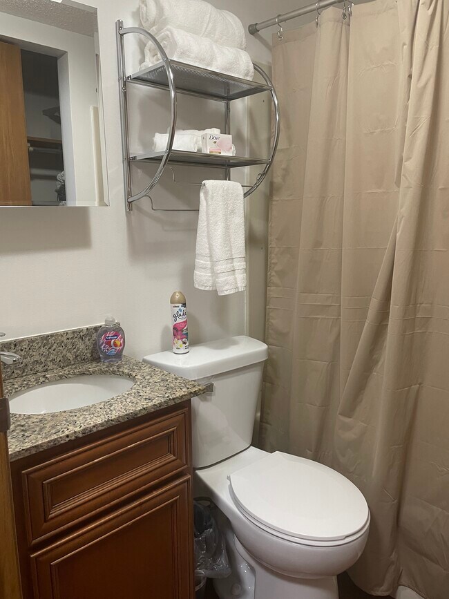 803 W Springfield Ave unit J, Champaign, IL 61820 - photo 5
